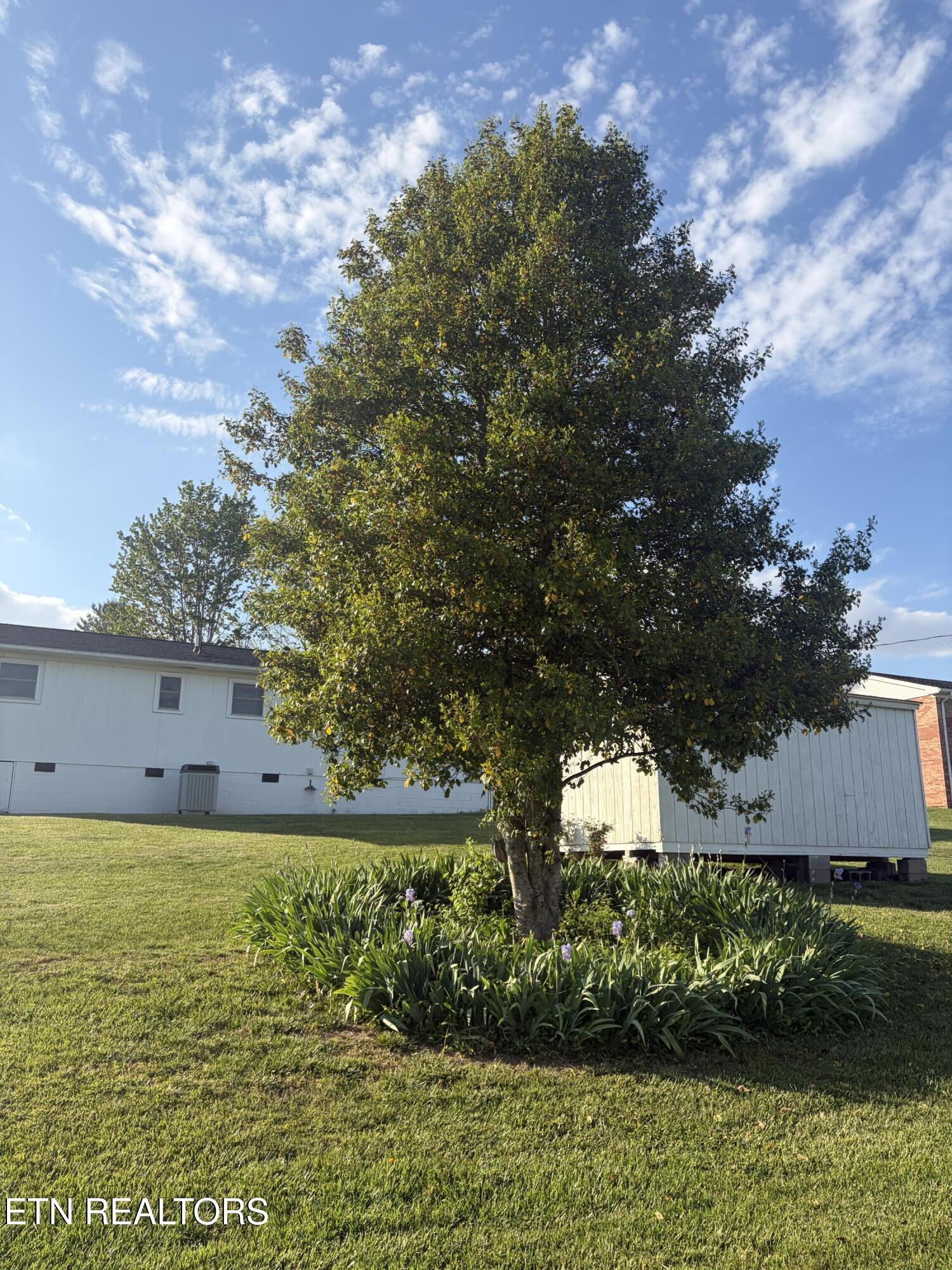 311 Whitaker Street Tazewell TN 37879