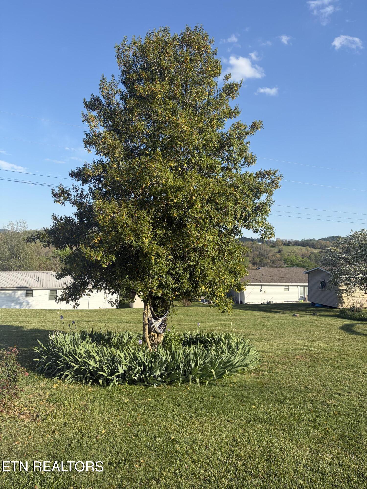 311 Whitaker Street Tazewell TN 37879