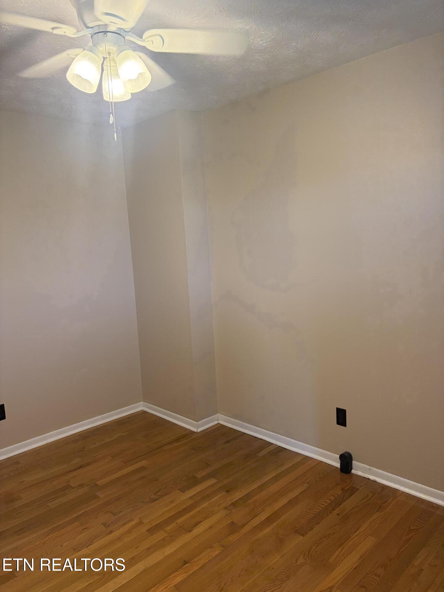 311 Whitaker Street Tazewell TN 37879