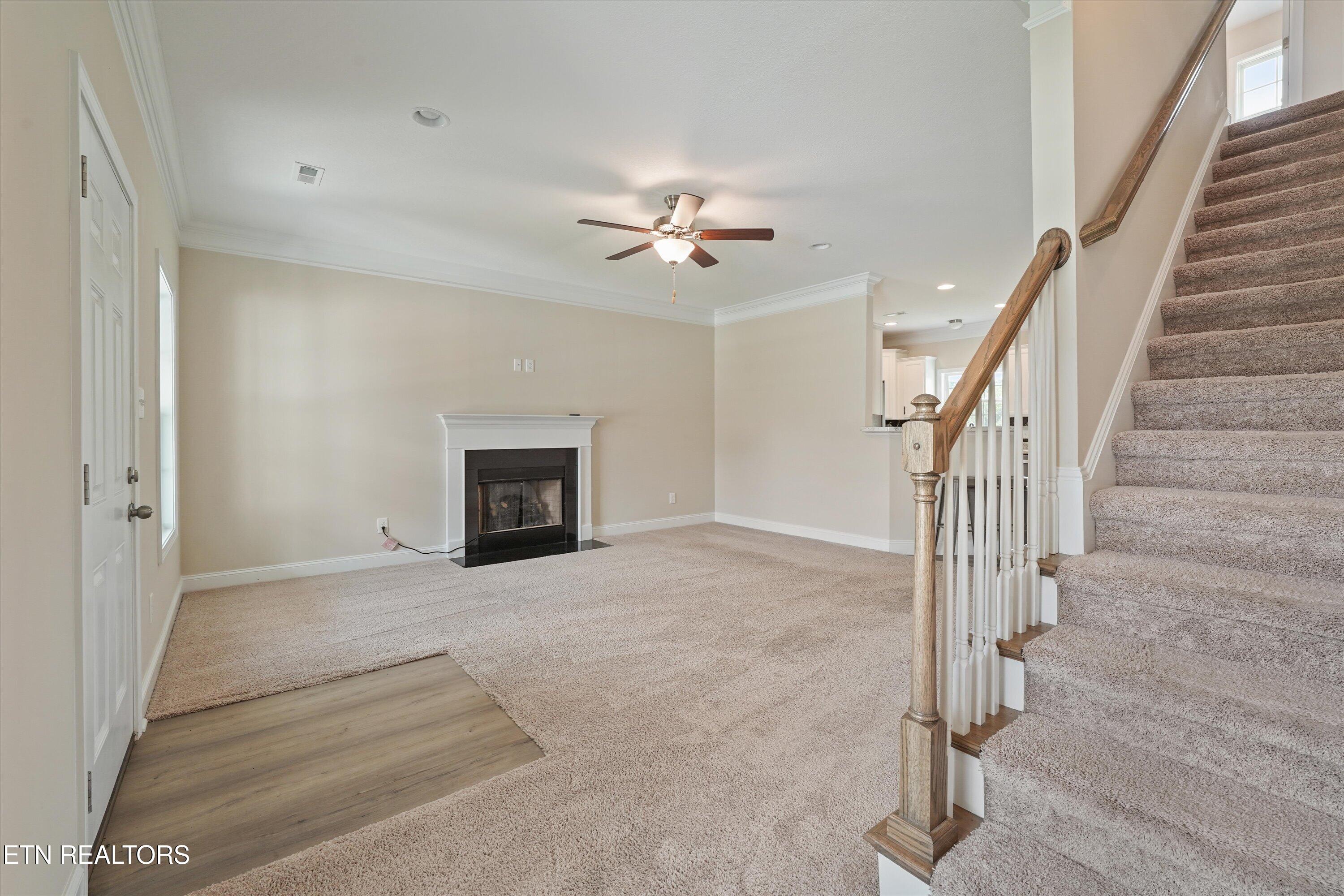8217 Zenith Lane Powell TN 37849