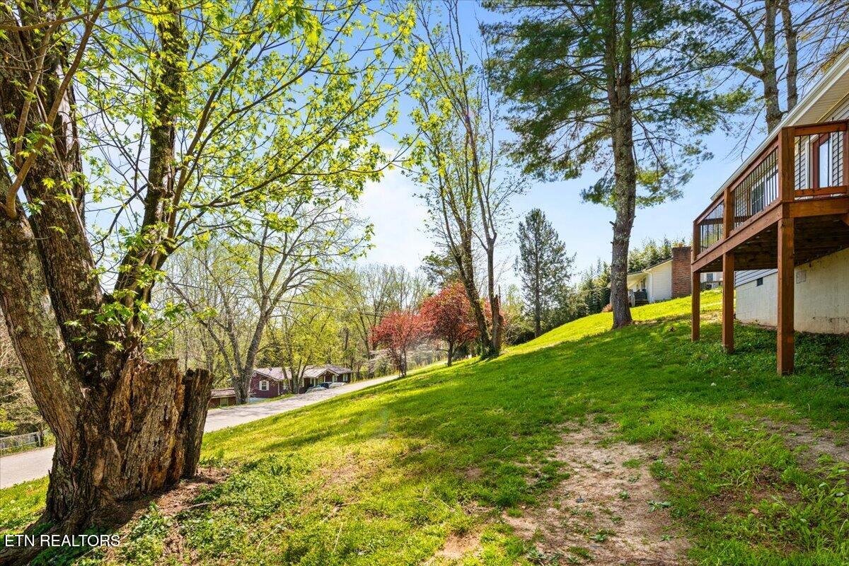 257 Gamble Lane Lafollette TN 37766