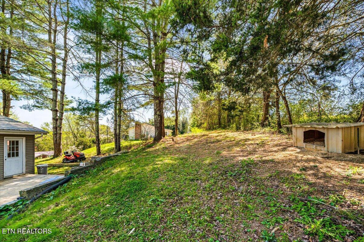 257 Gamble Lane Lafollette TN 37766