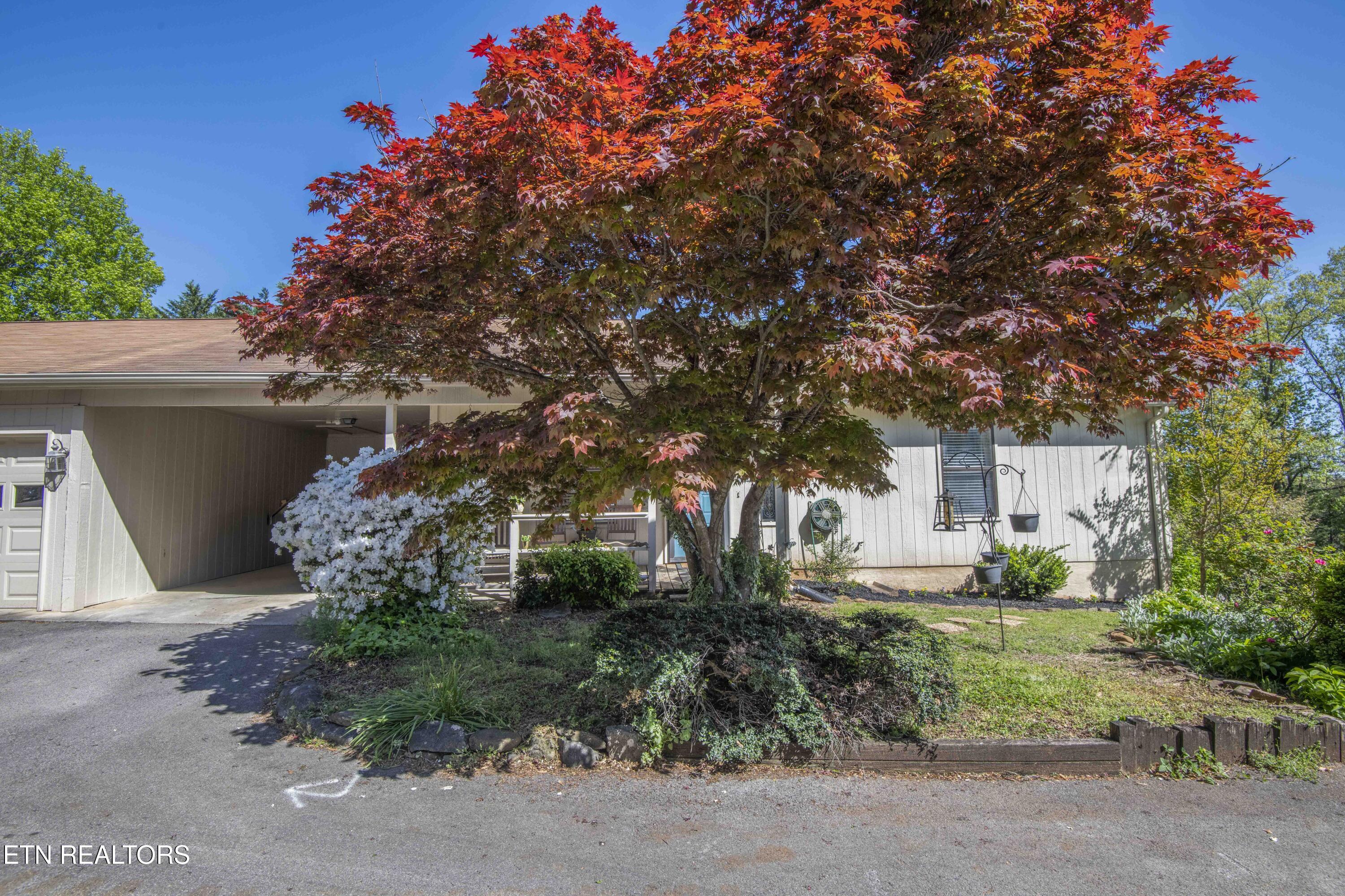 8500 Olde Colony Trail Knoxville TN 37923