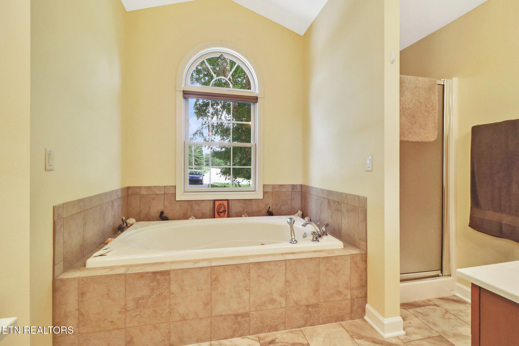 169 Forest View Drive Crossville TN 38558