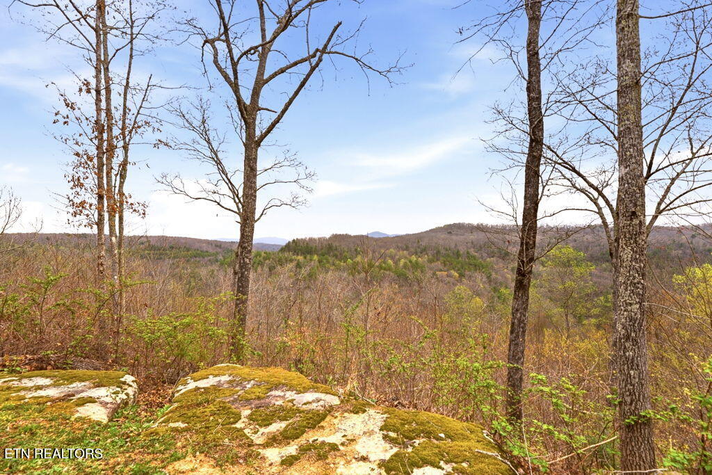1159 Emory Heights Road Lancing TN 37770