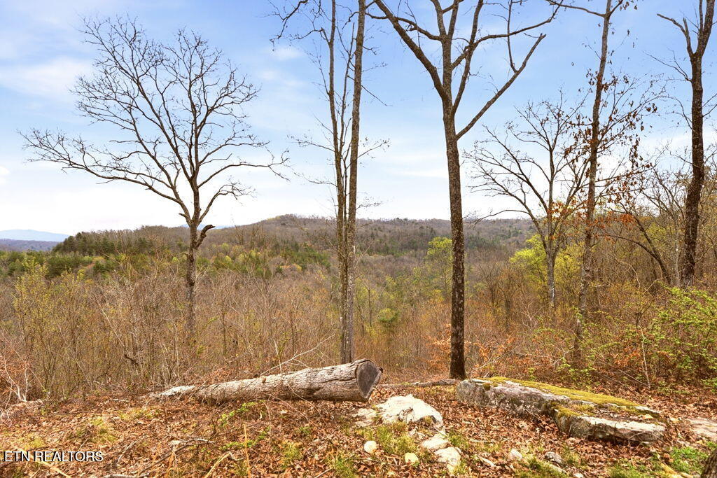 1159 Emory Heights Road Lancing TN 37770
