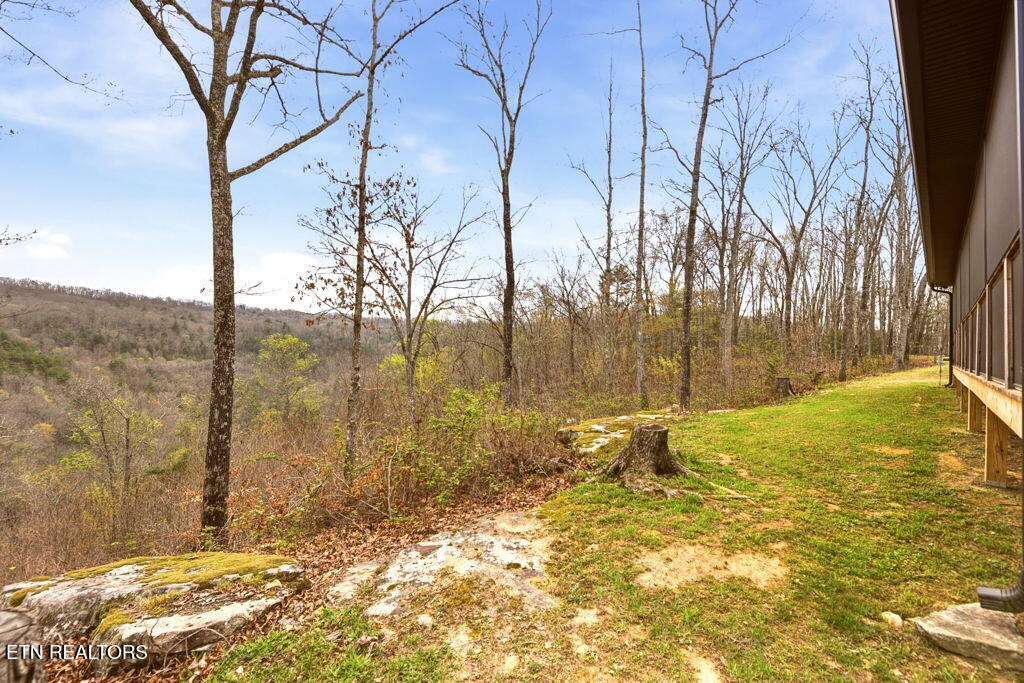 1159 Emory Heights Road Lancing TN 37770
