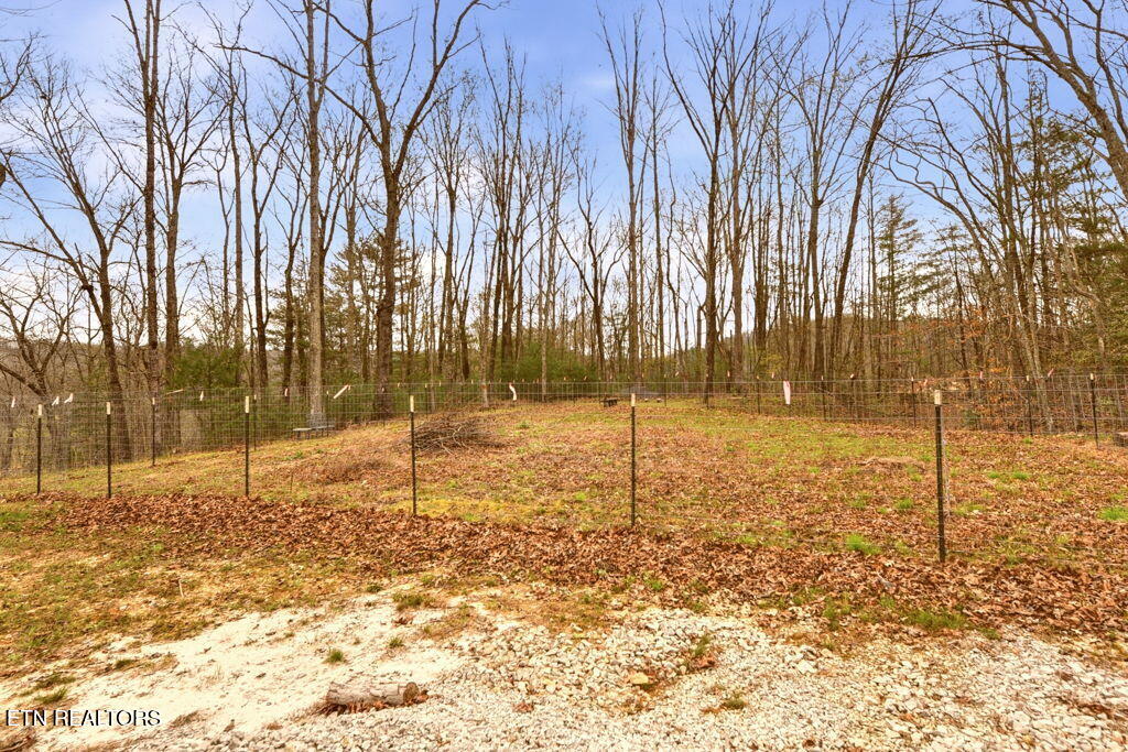 1159 Emory Heights Road Lancing TN 37770