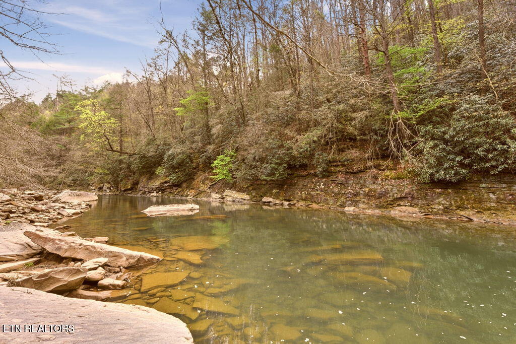 1159 Emory Heights Road Lancing TN 37770