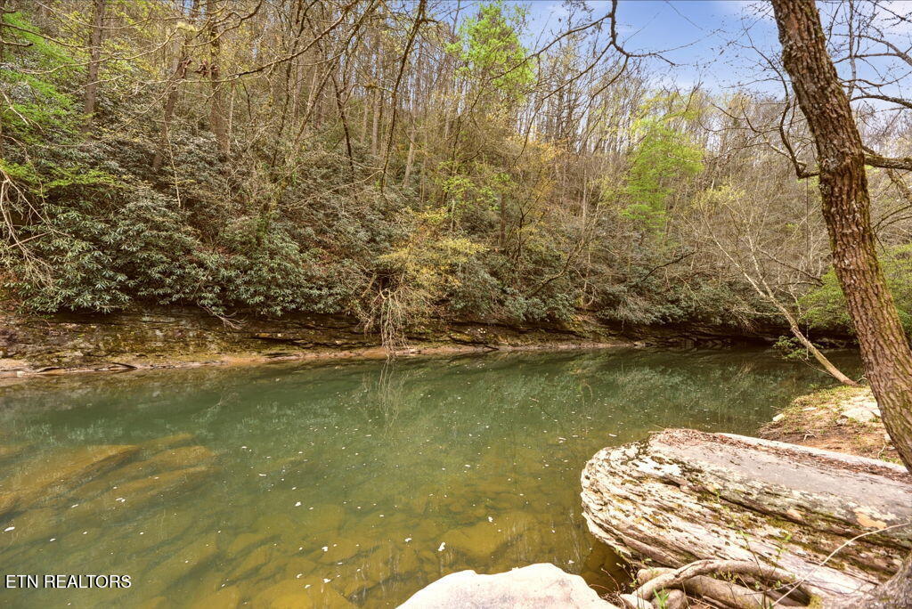 1159 Emory Heights Road Lancing TN 37770