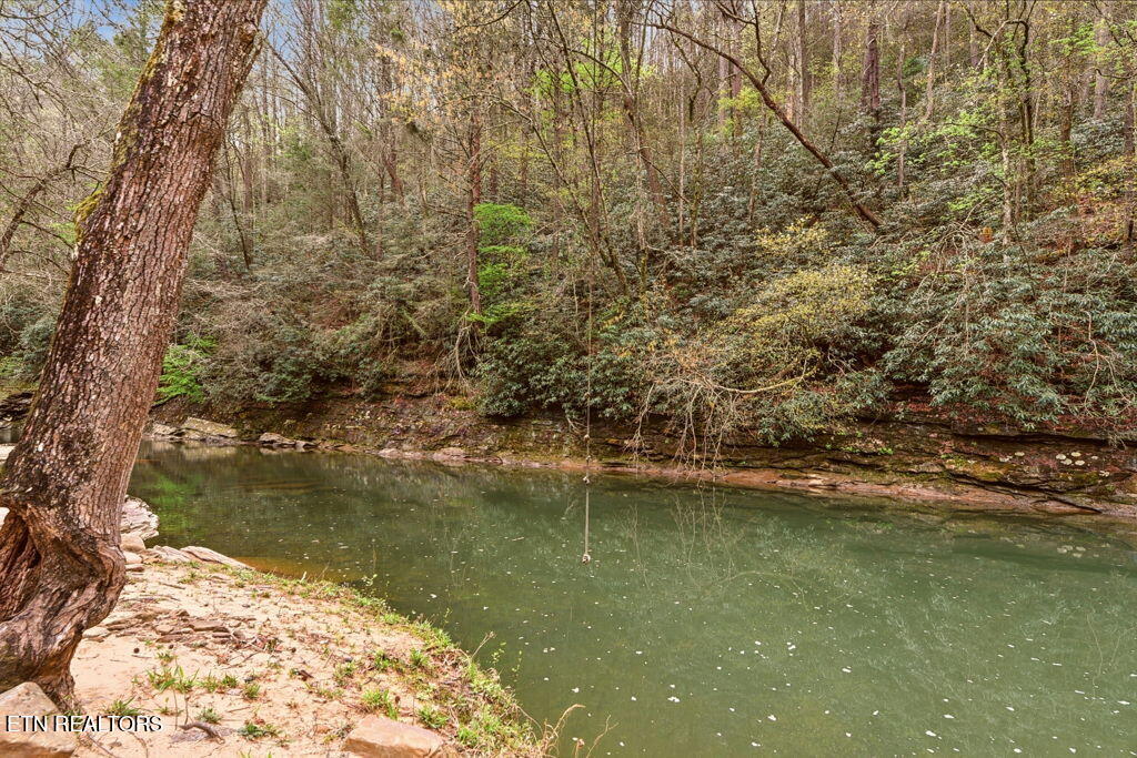 1159 Emory Heights Road Lancing TN 37770