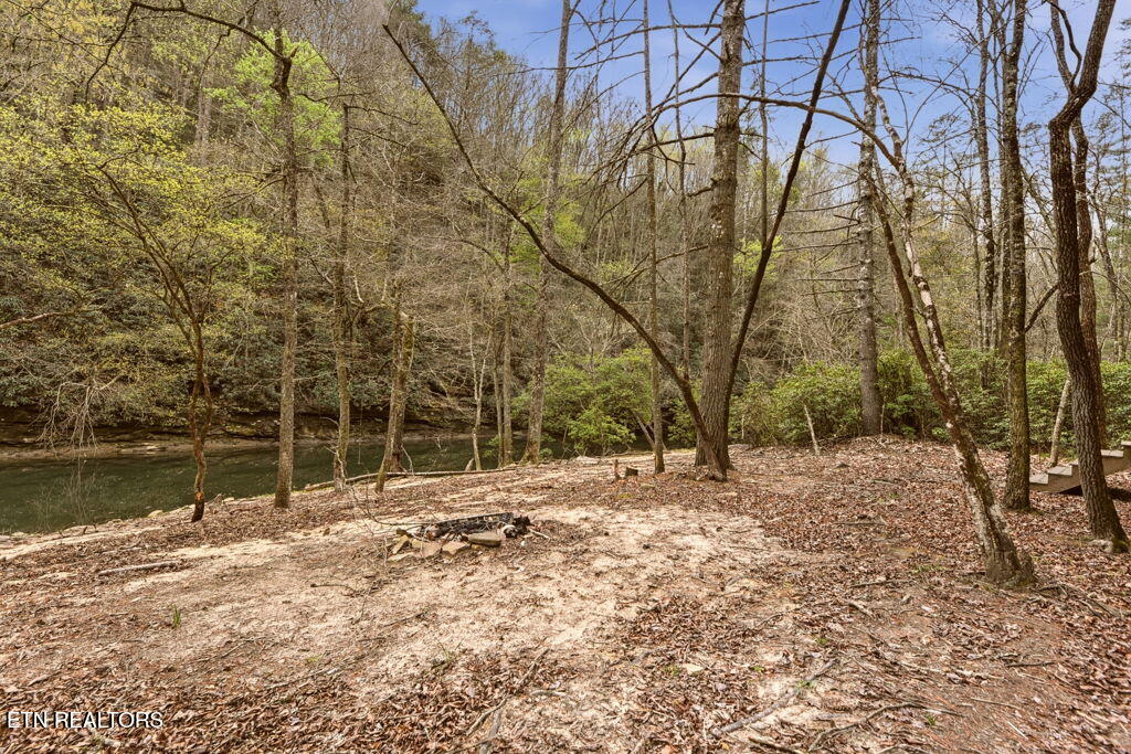 1159 Emory Heights Road Lancing TN 37770