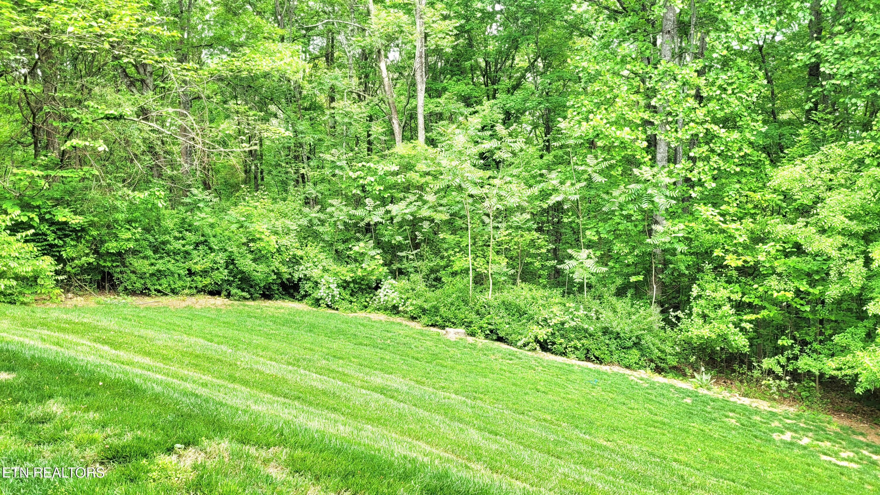 2016 Berrywood Drive Knoxville TN 37932