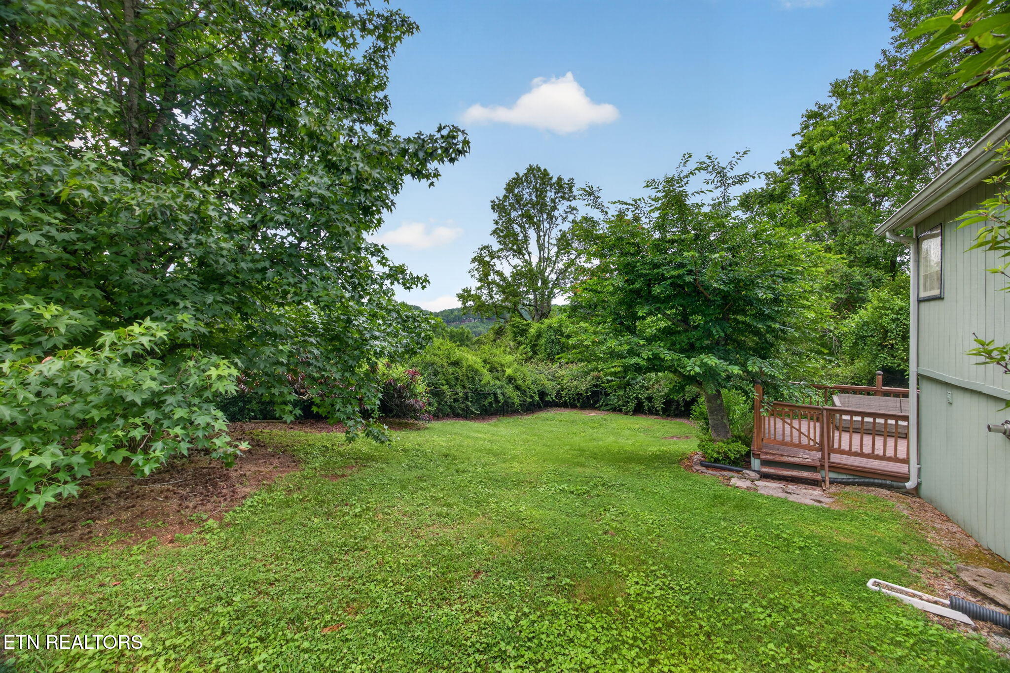155 Mayberry Drive Smithville TN 37166