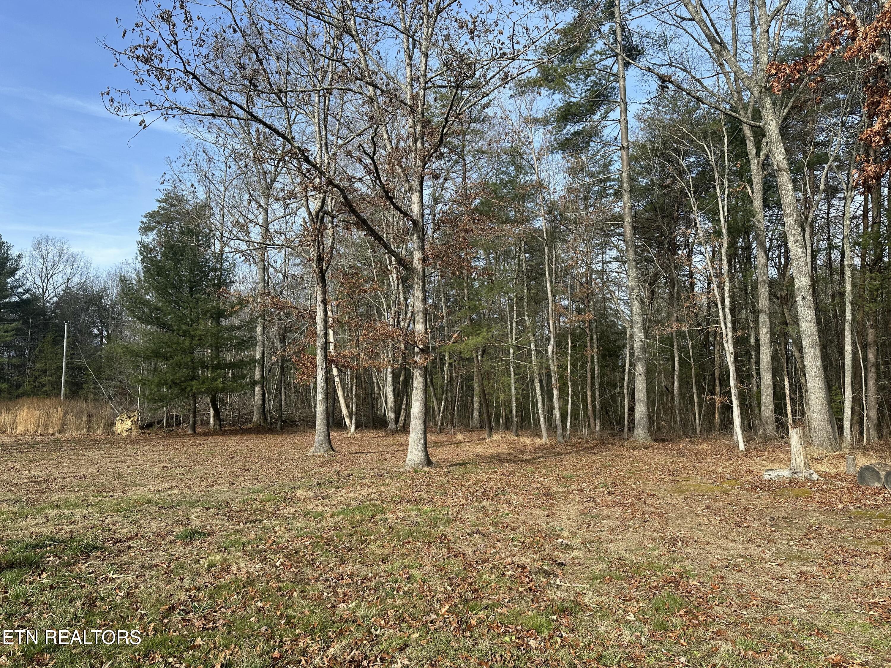 130 Paradise Lane Deer Lodge TN 37726