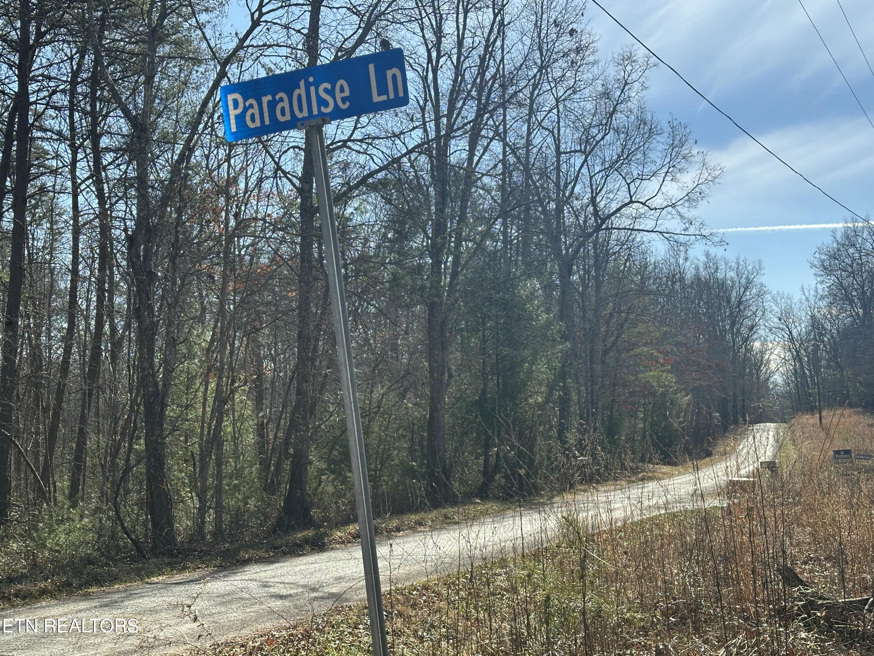 130 Paradise Lane Deer Lodge TN 37726