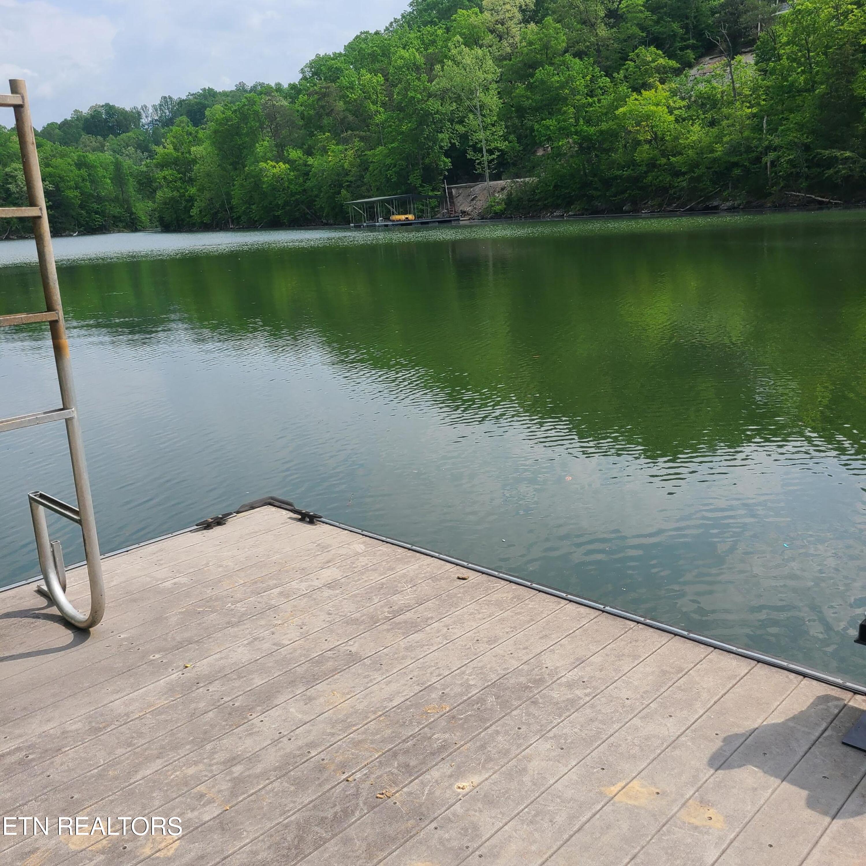 352 Perry Smith Lane Caryville TN 37714