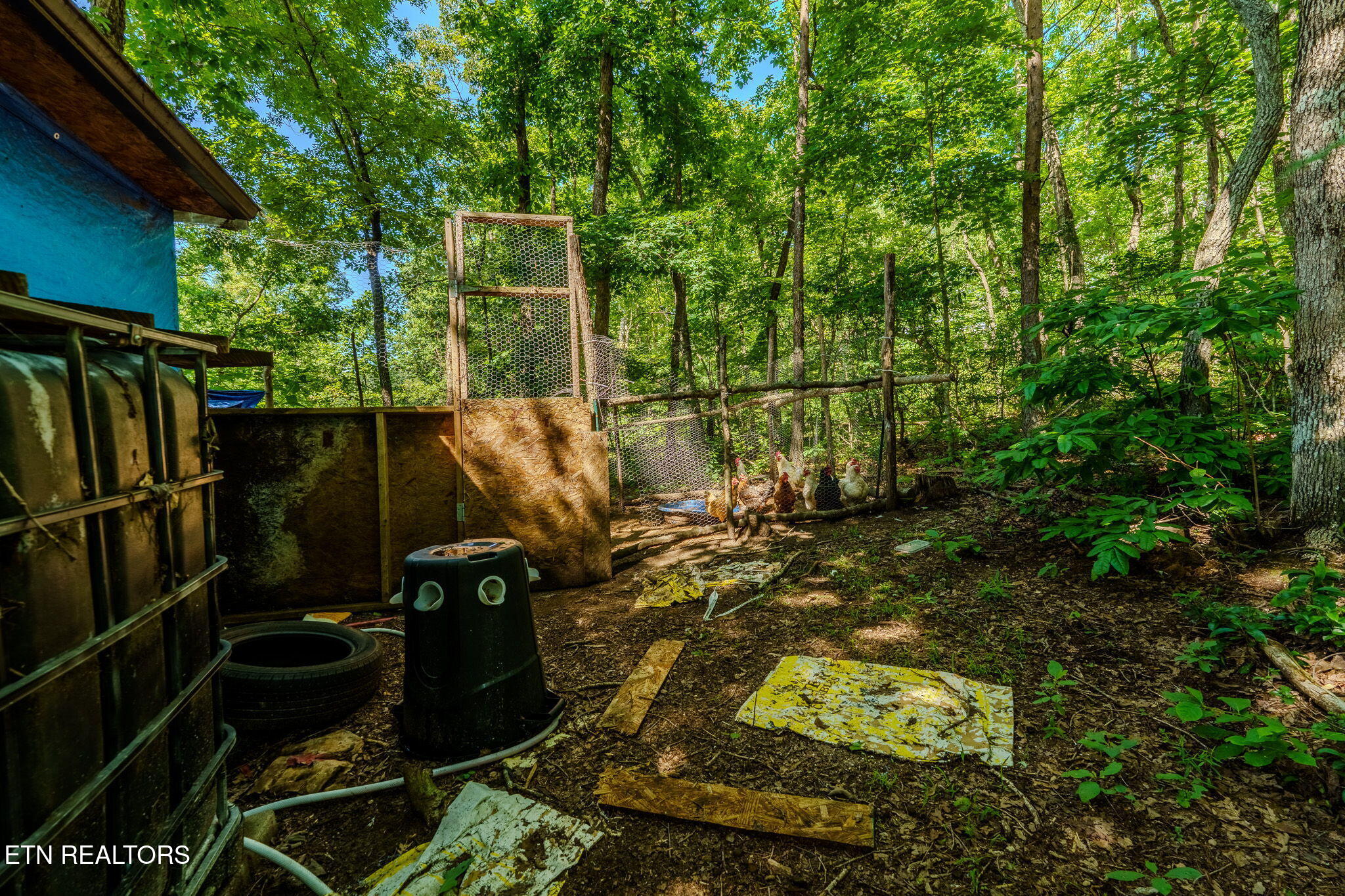 1360 Luminary Firetower Road Spring City TN 37381