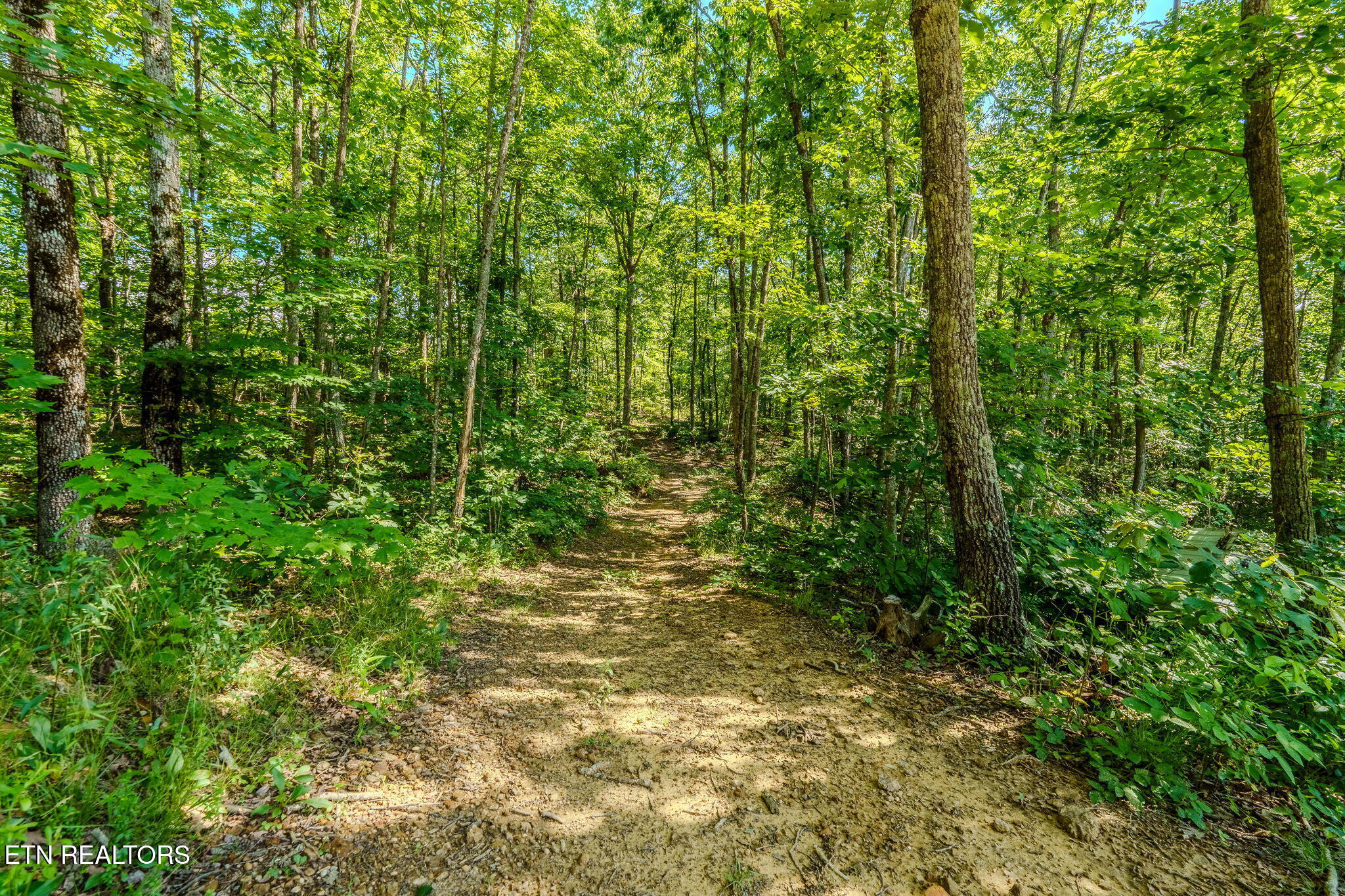 1360 Luminary Firetower Road Spring City TN 37381