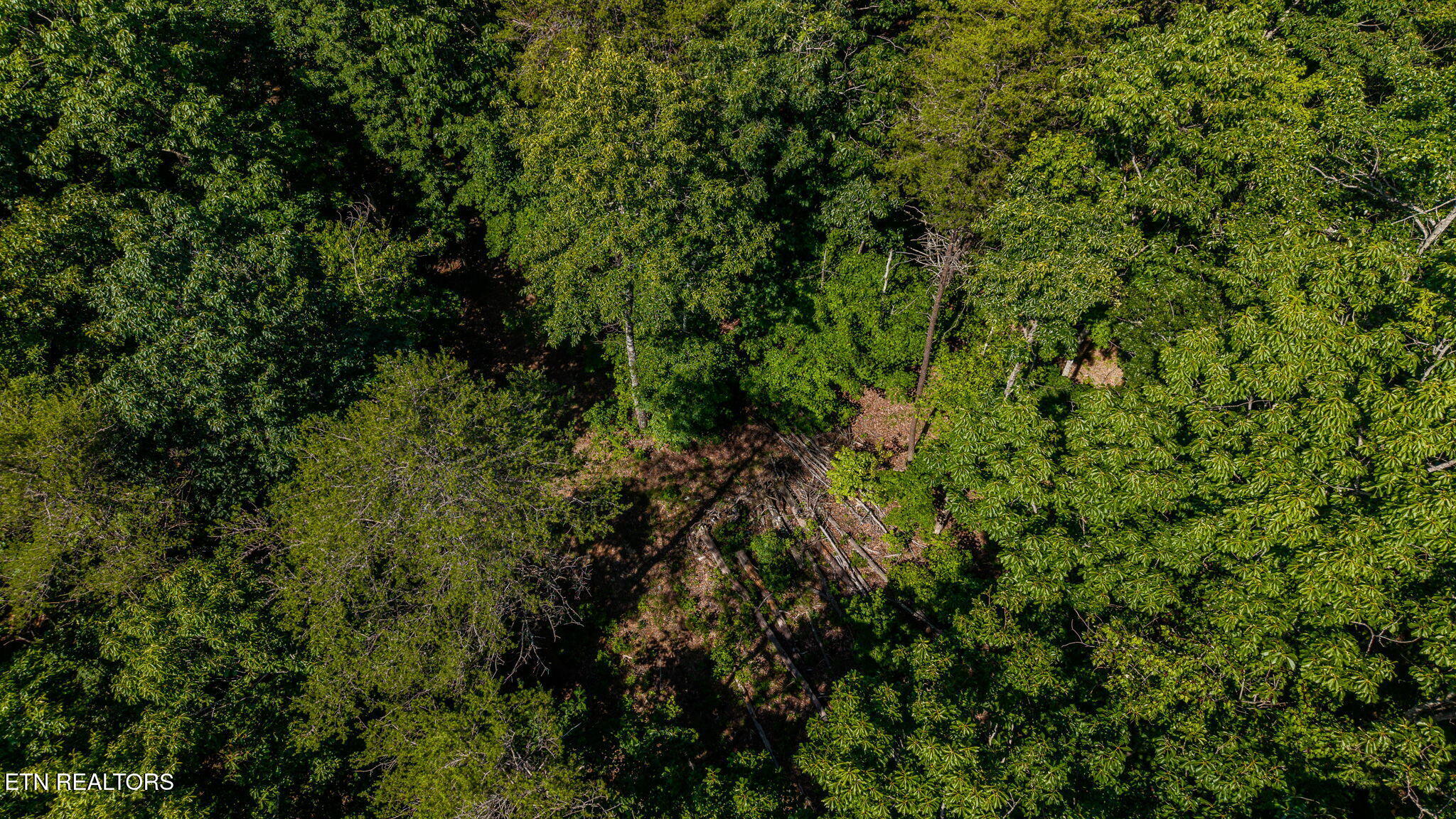 1360 Luminary Firetower Road Spring City TN 37381