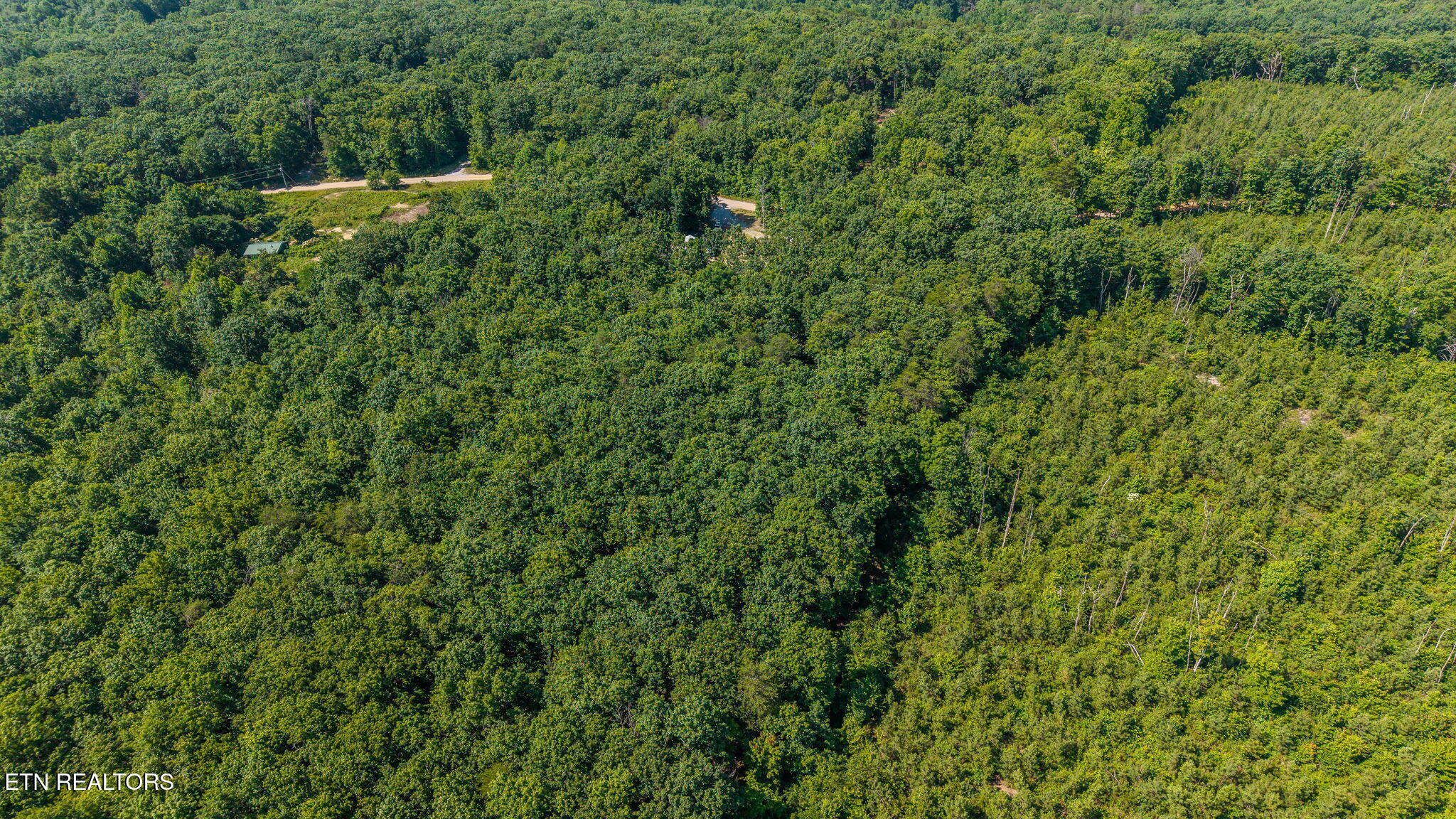 1360 Luminary Firetower Road Spring City TN 37381