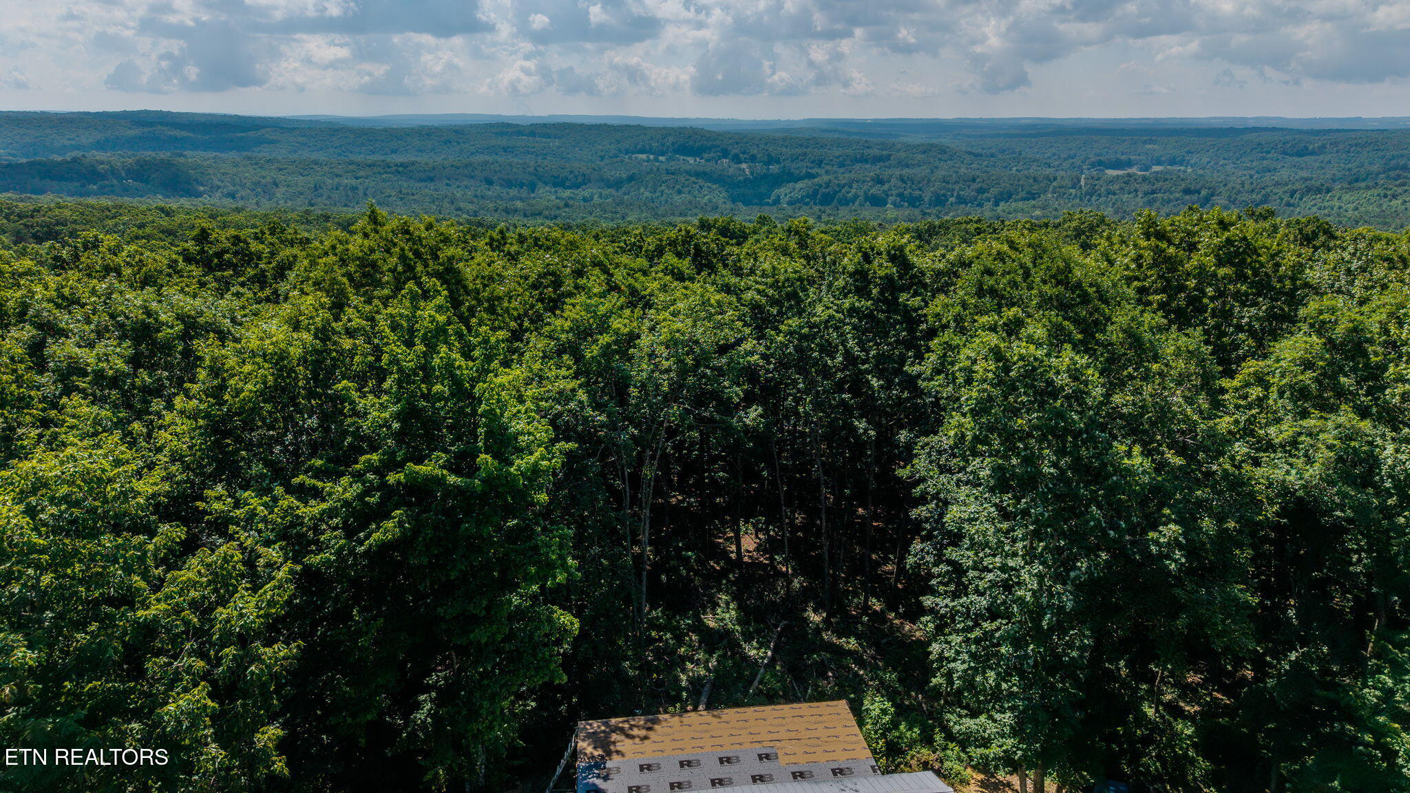 1360 Luminary Firetower Road Spring City TN 37381