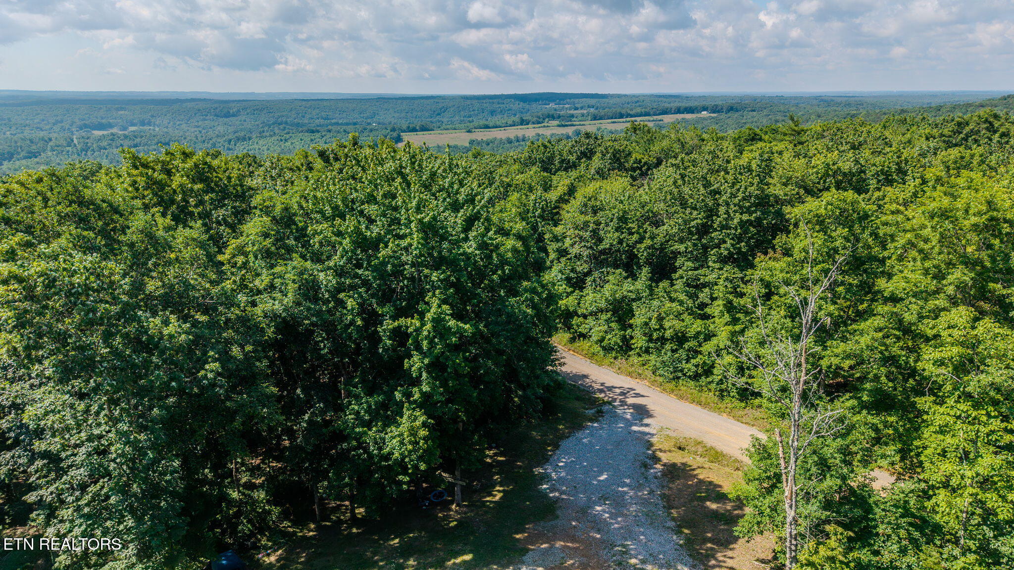 1360 Luminary Firetower Road Spring City TN 37381