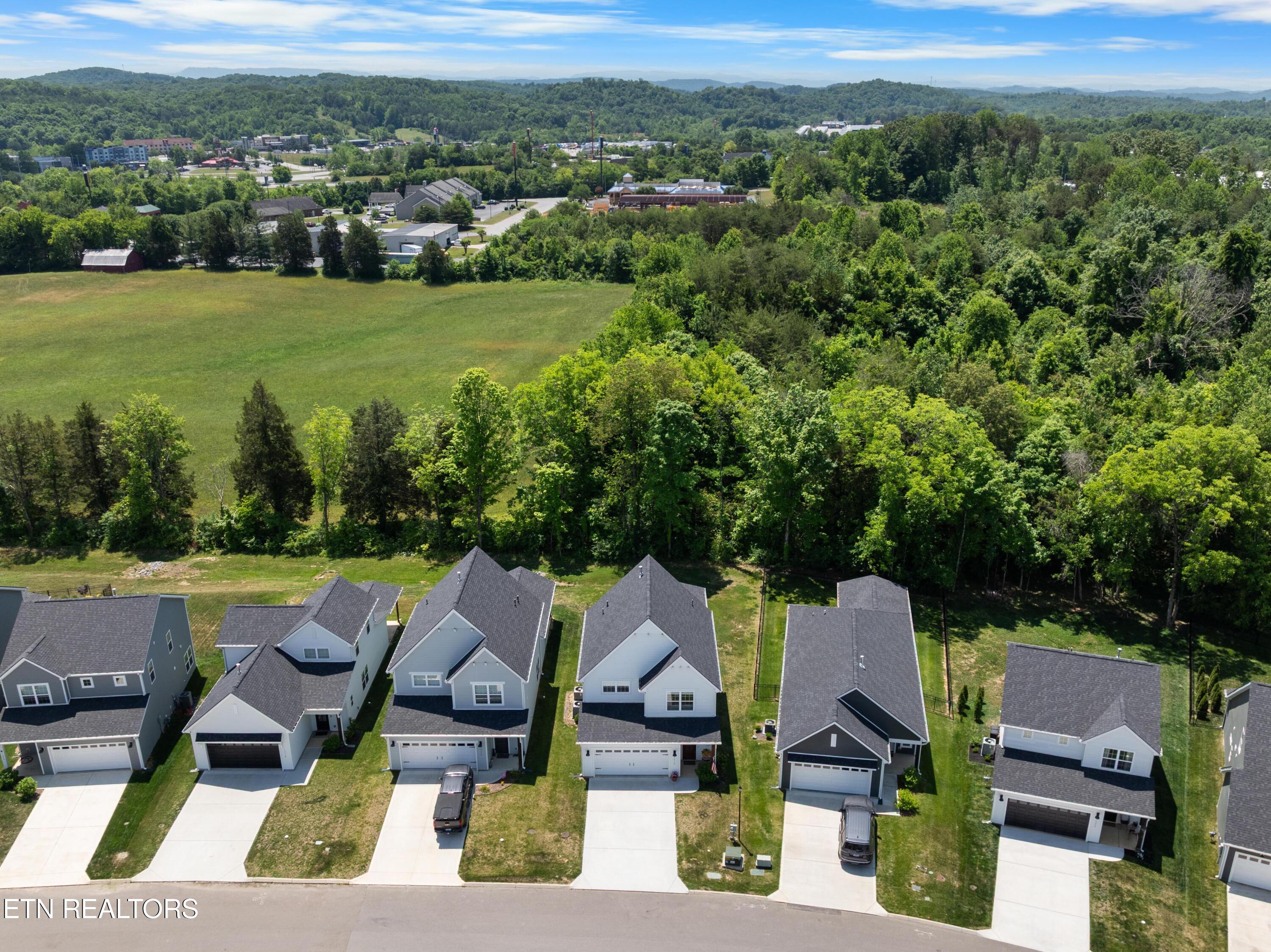 1618 Spring Berry Lane Knoxville TN 37924