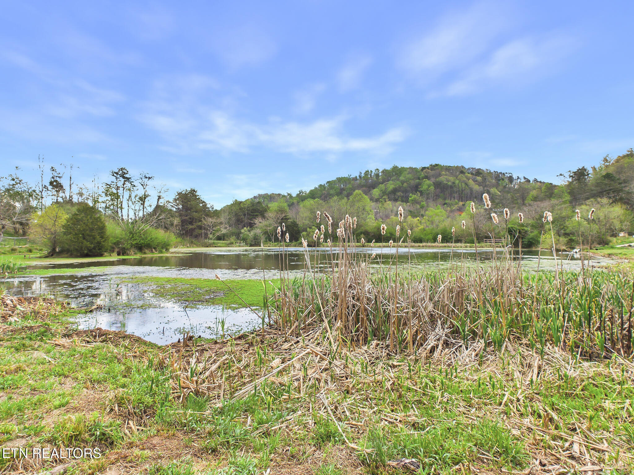 1483 Reagan Valley Road Tellico Plains TN 37385