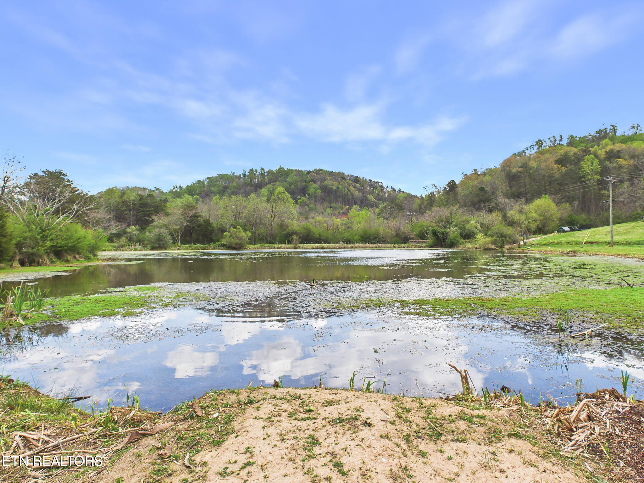1483 Reagan Valley Road Tellico Plains TN 37385
