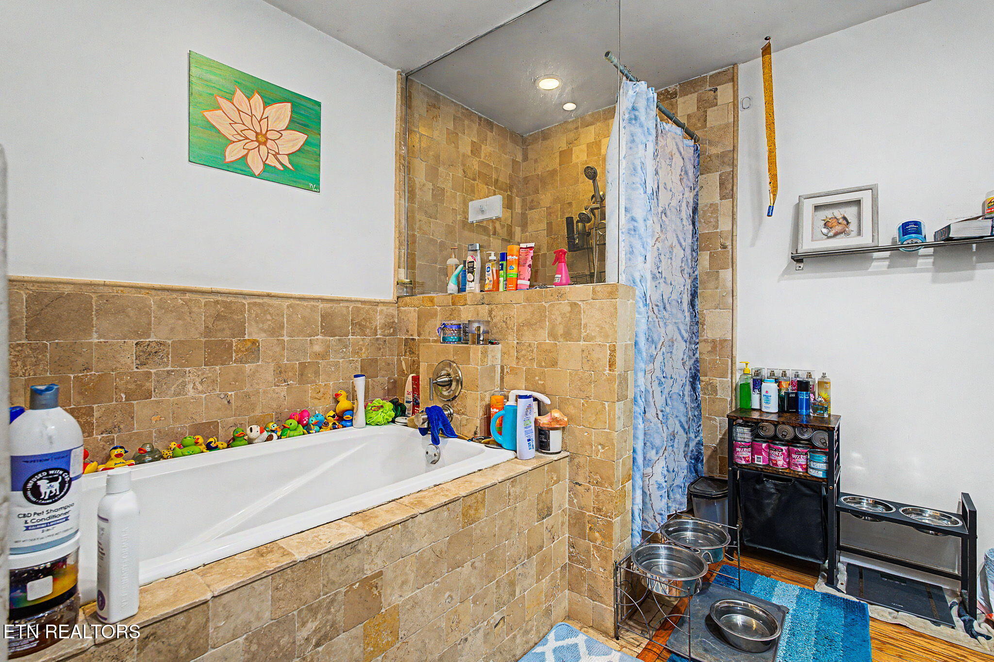 109 Marquette Road Oak Ridge TN 37830