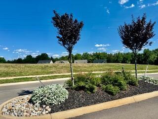 12924 Yorkshire Fog (LOT 49) Lane Farragut TN 37934