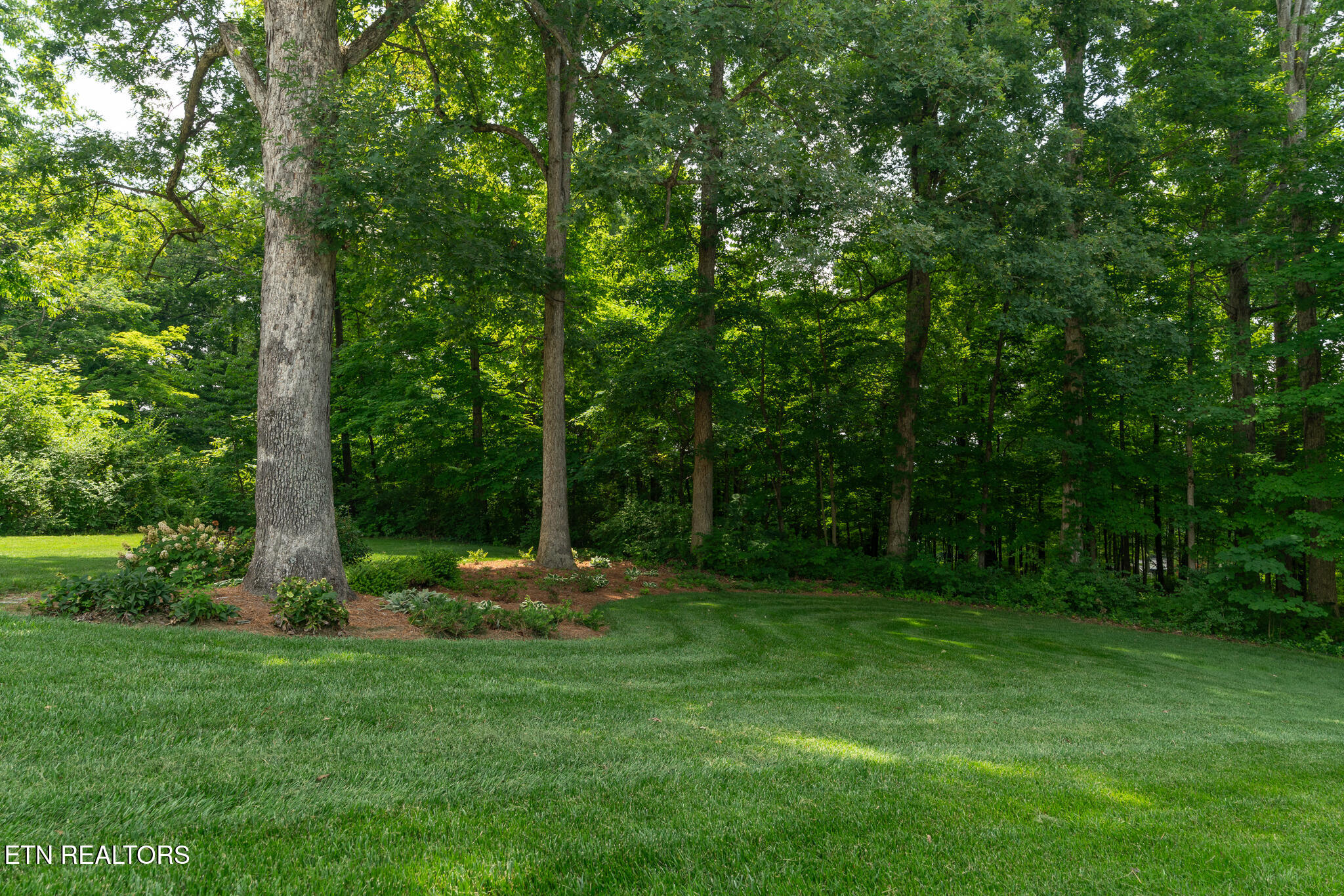 6701 Ridgerock Lane Knoxville TN 37909