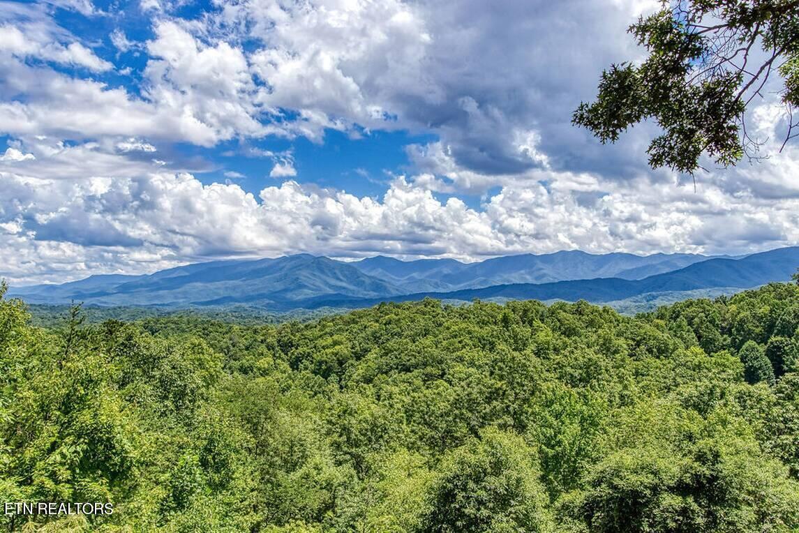 1120 Tanrac Trail Gatlinburg TN 37738