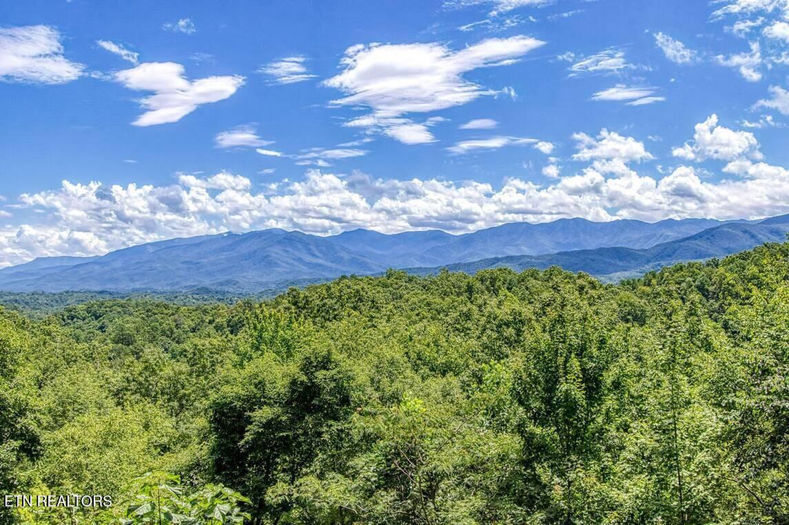 1120 Tanrac Trail Gatlinburg TN 37738