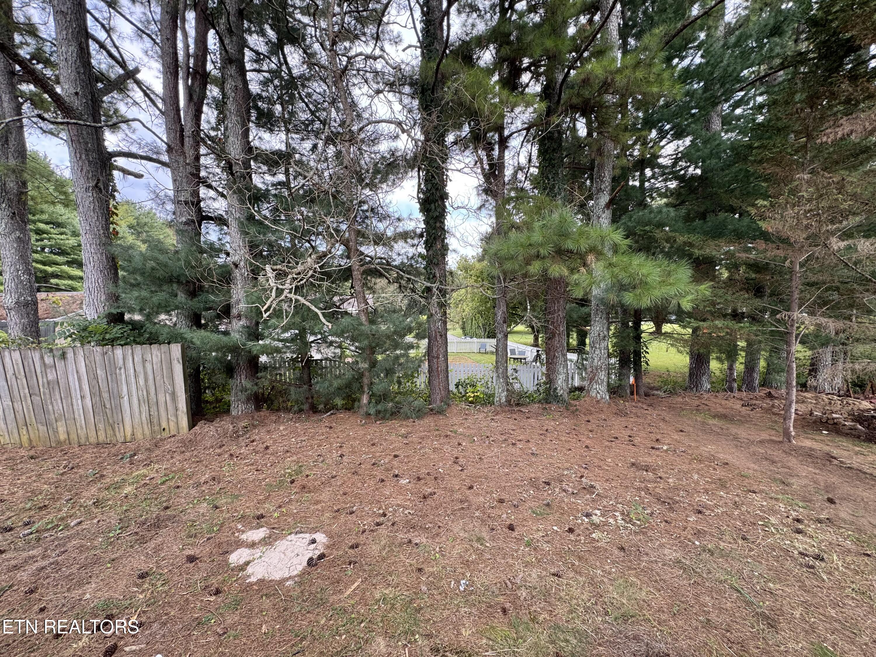 174 Hamil Road Friendsville TN 37737