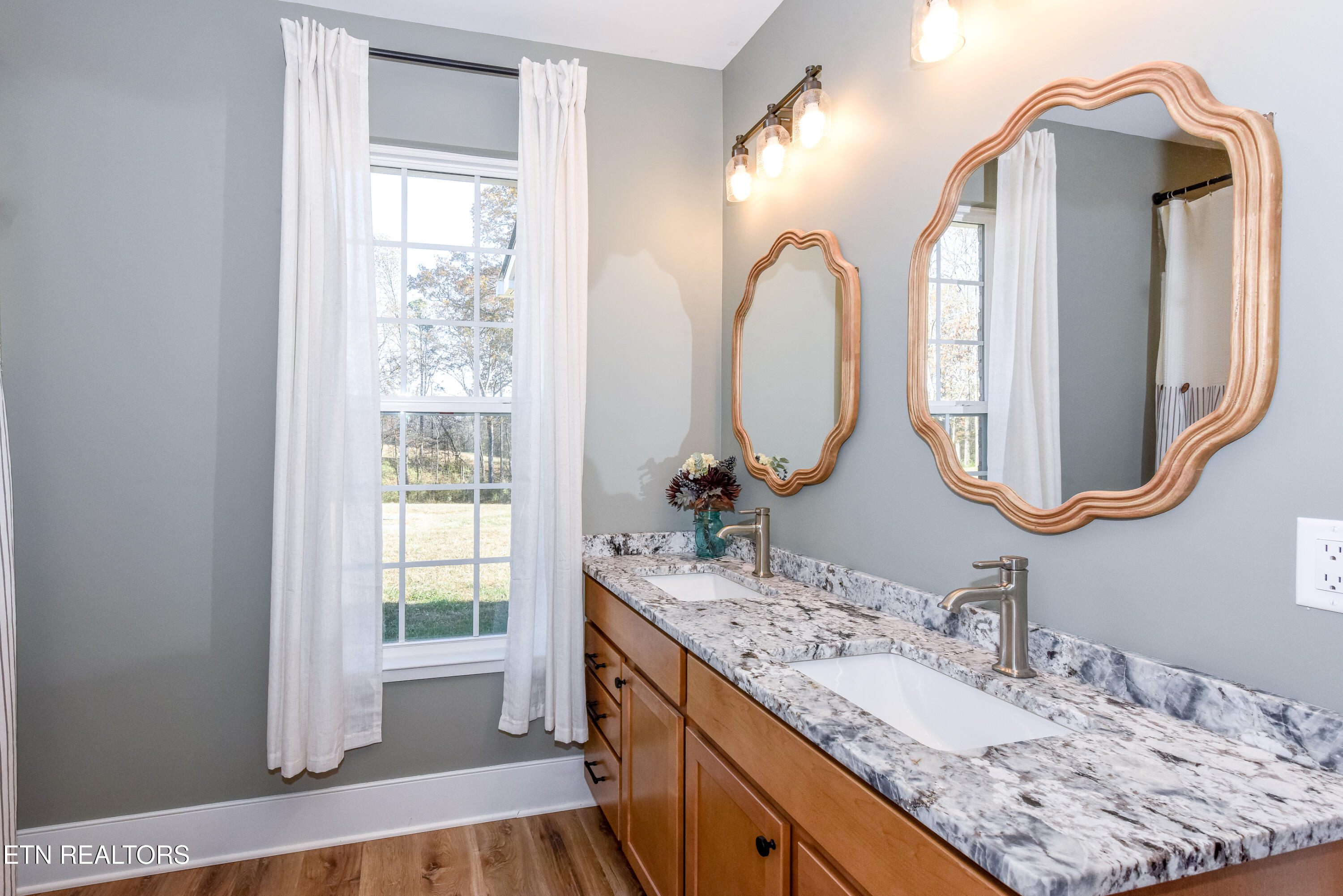 910 Sophie Drive Greenback TN 37742