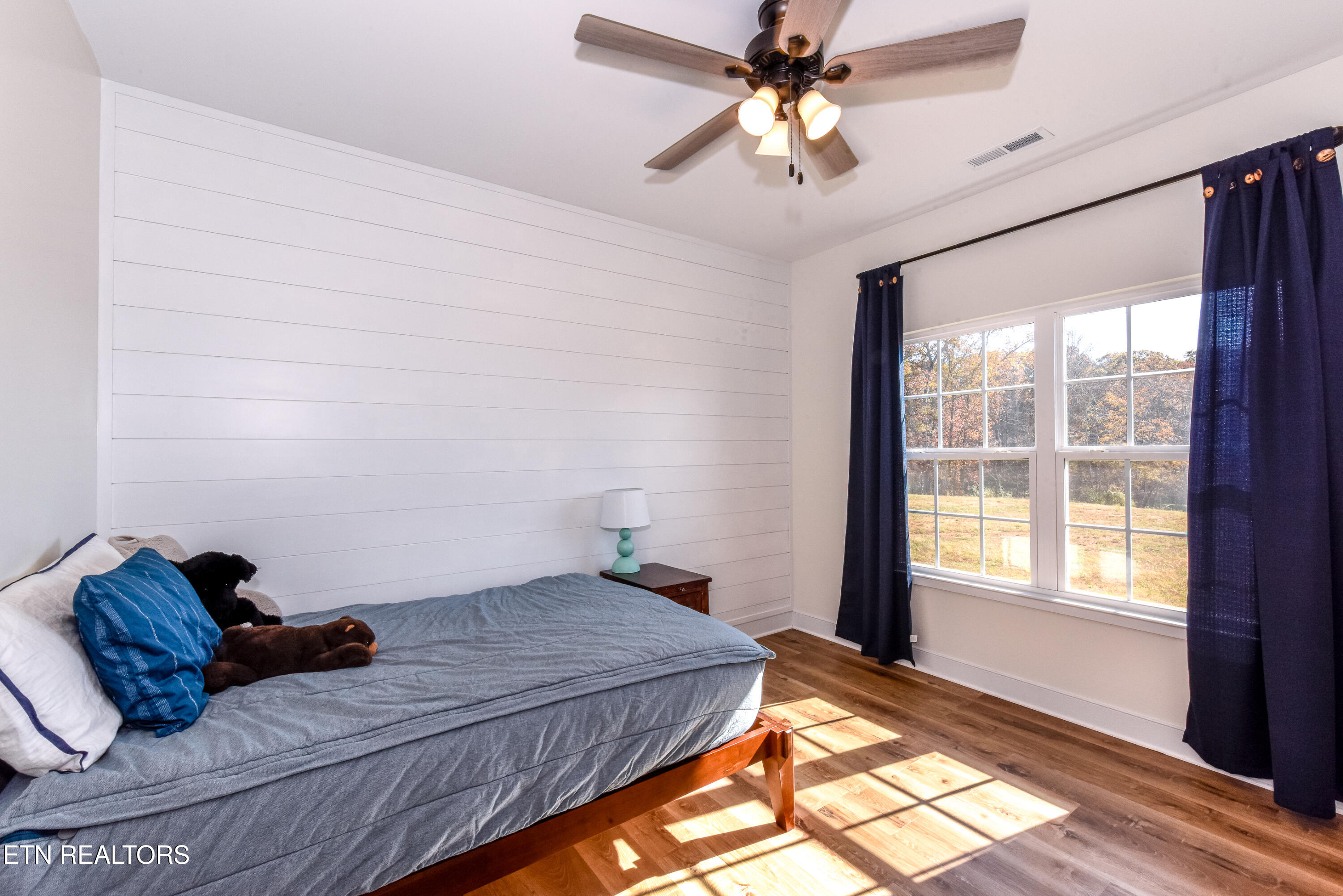 910 Sophie Drive Greenback TN 37742