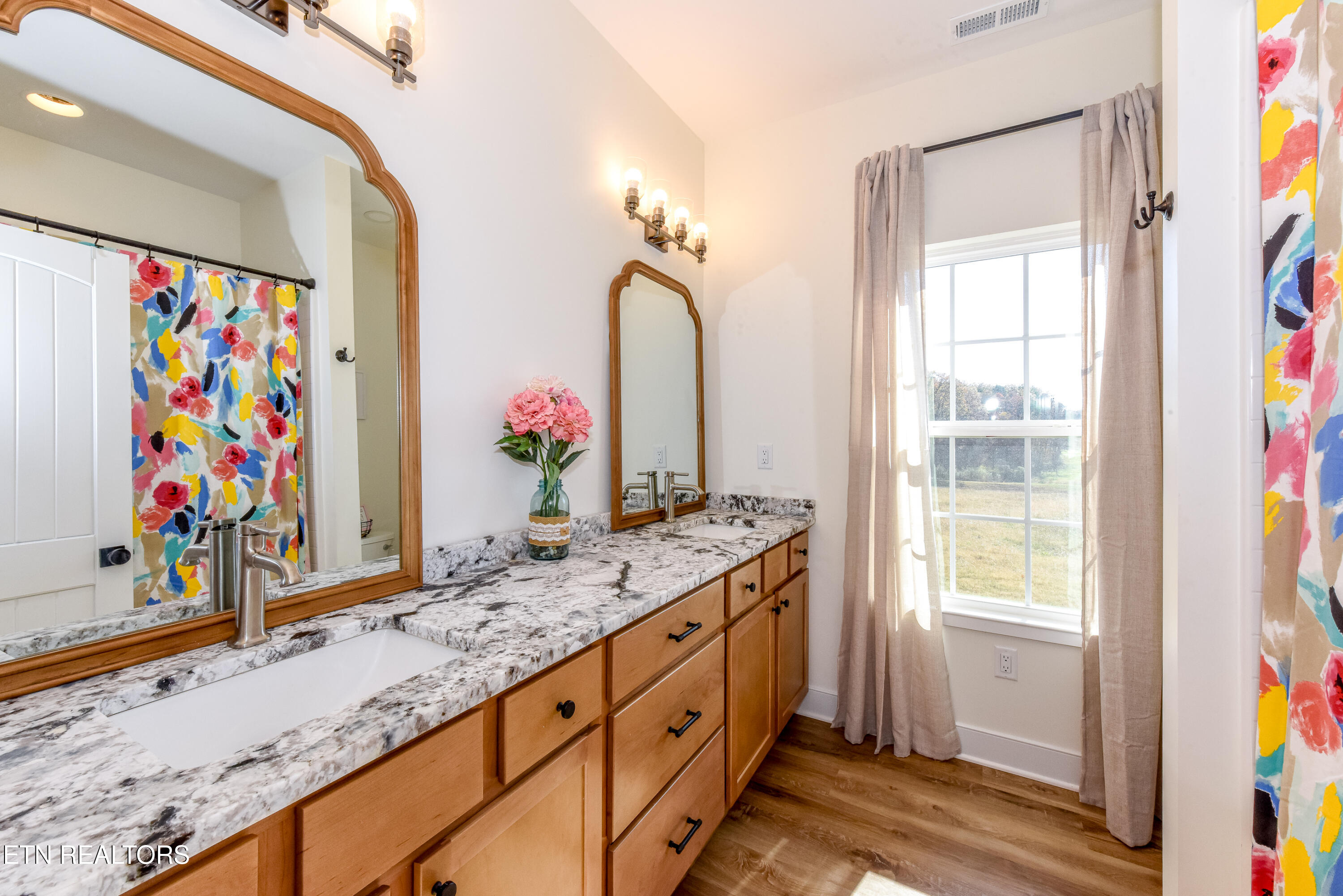 910 Sophie Drive Greenback TN 37742