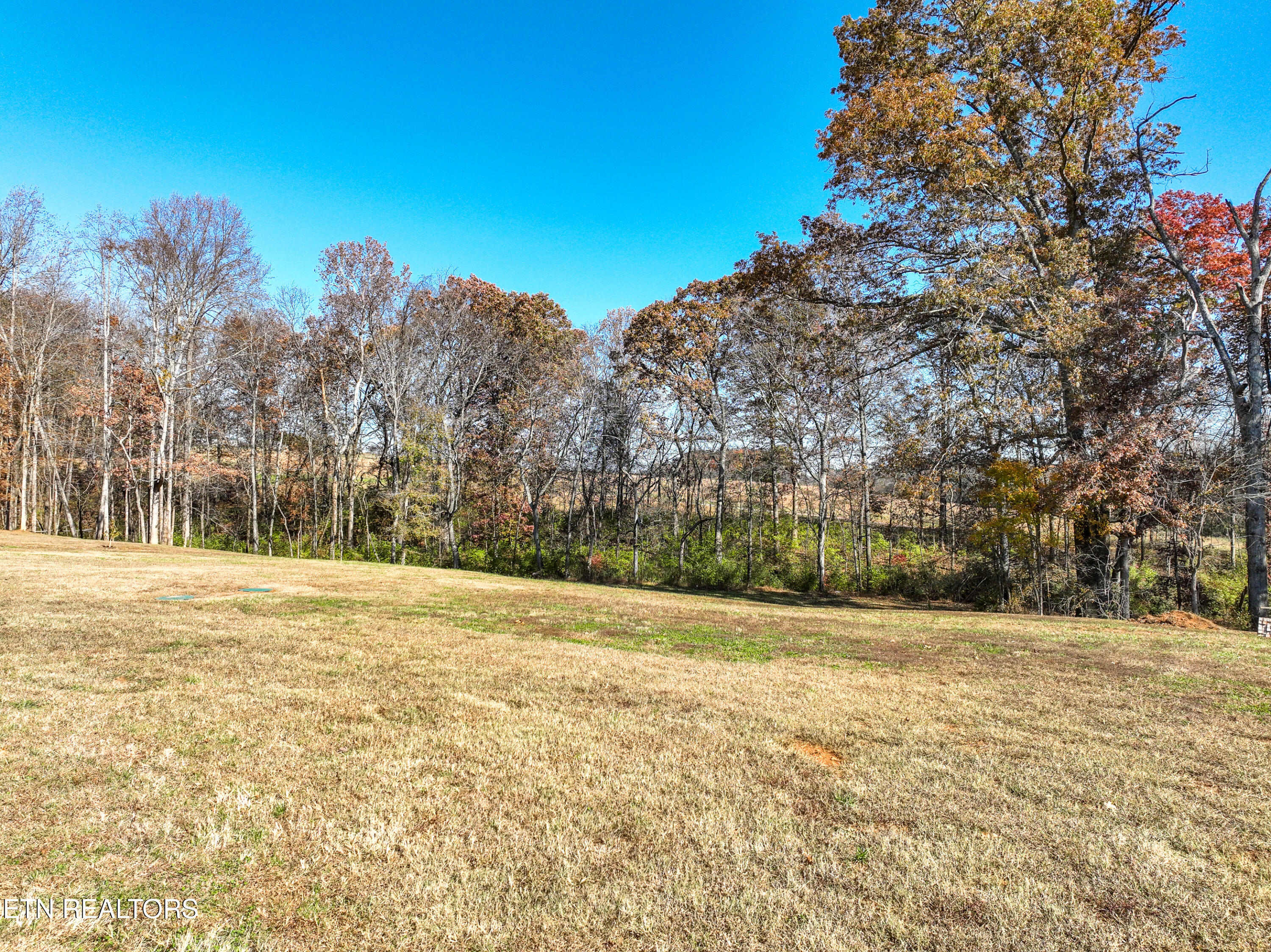 910 Sophie Drive Greenback TN 37742