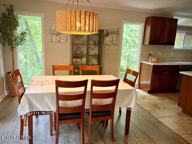 1713 Cardinal Drive Gatlinburg TN 37738