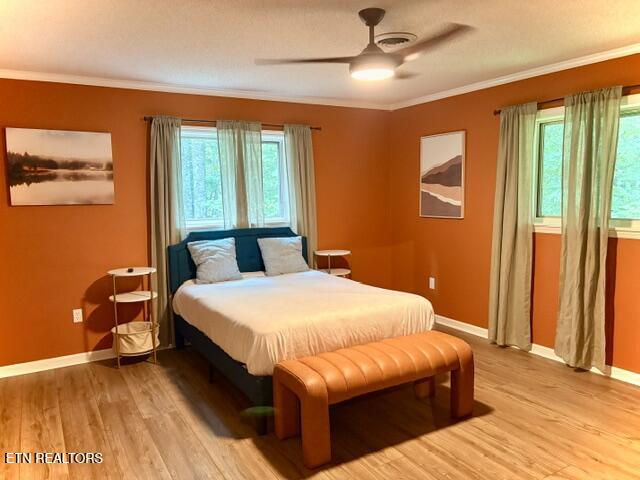 1713 Cardinal Drive Gatlinburg TN 37738
