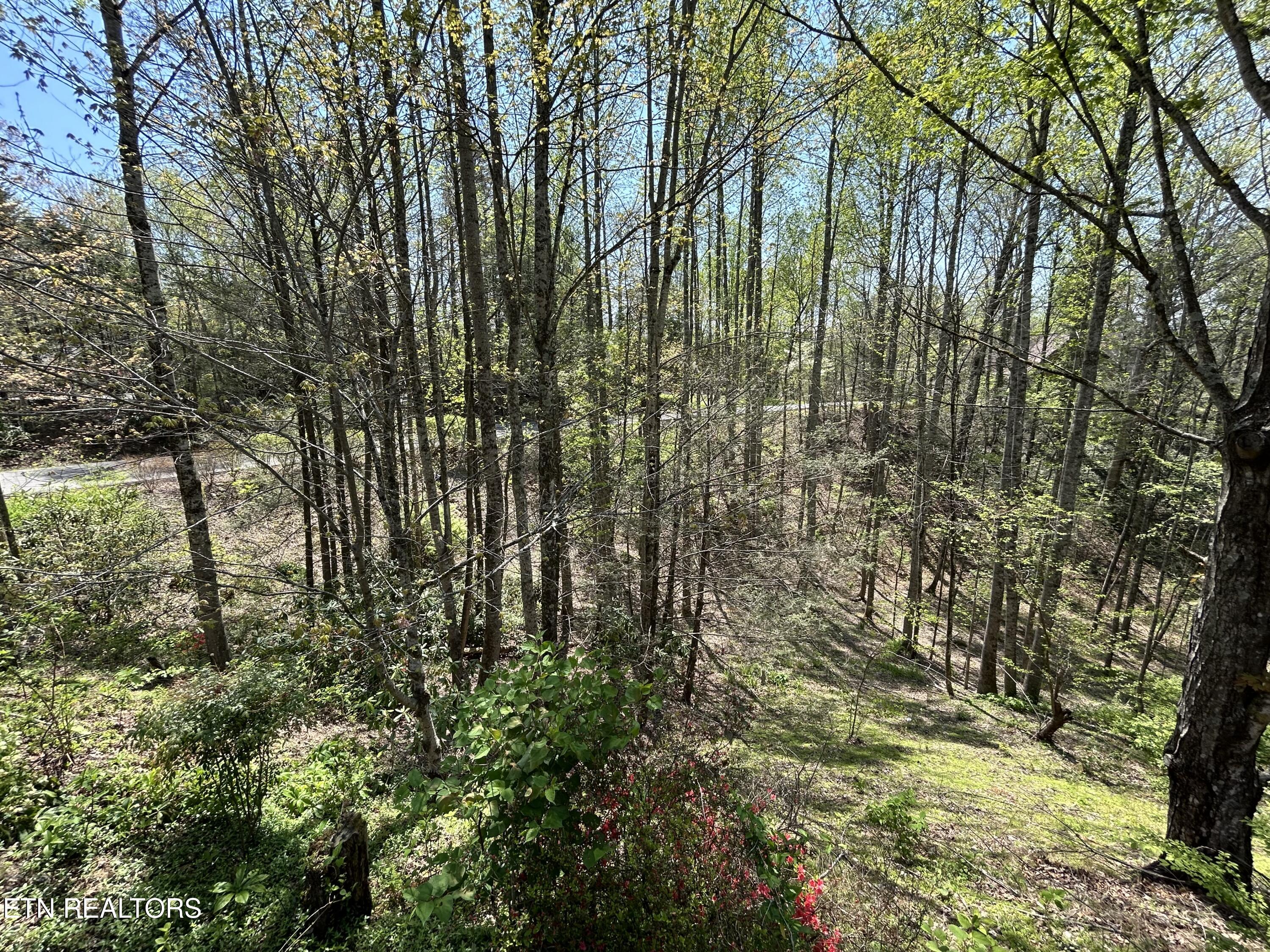 1713 Cardinal Drive Gatlinburg TN 37738