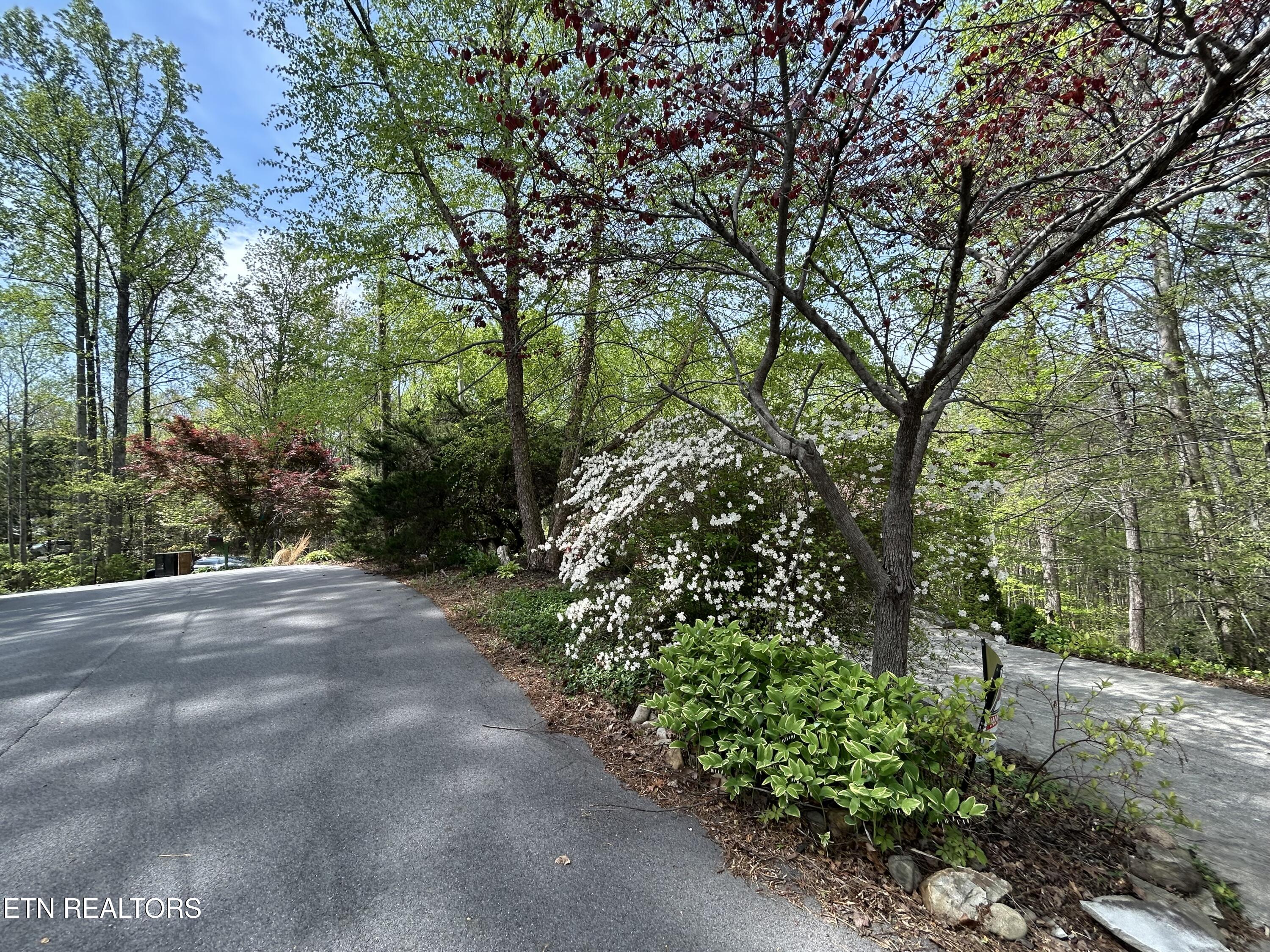 1713 Cardinal Drive Gatlinburg TN 37738