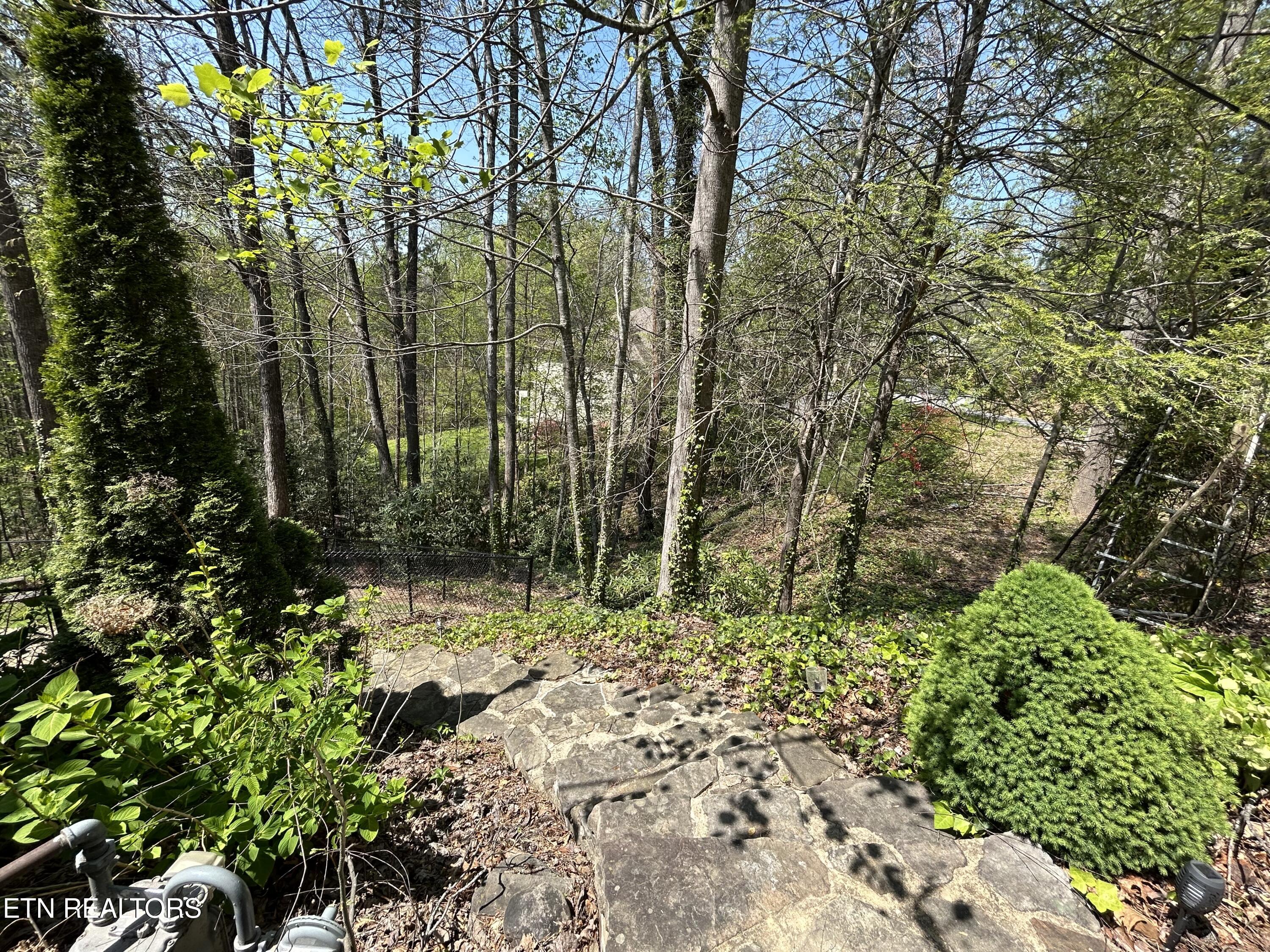 1713 Cardinal Drive Gatlinburg TN 37738