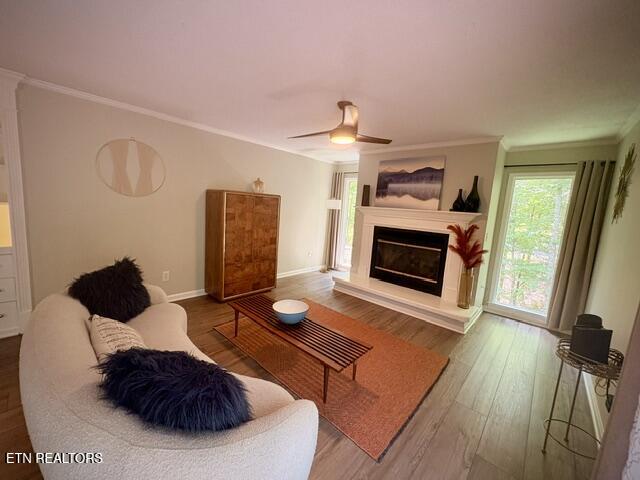 1713 Cardinal Drive Gatlinburg TN 37738