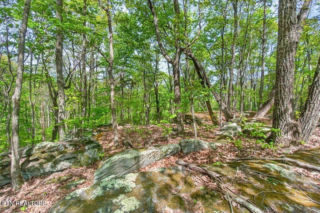 751 W Bluff Road Pikeville TN 37367