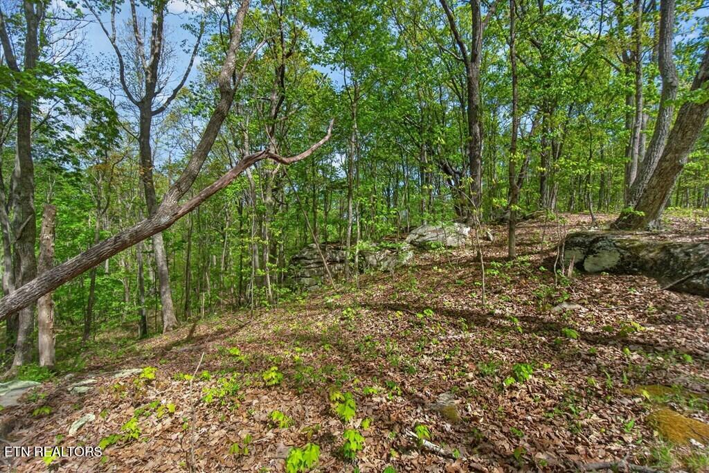 751 W Bluff Road Pikeville TN 37367