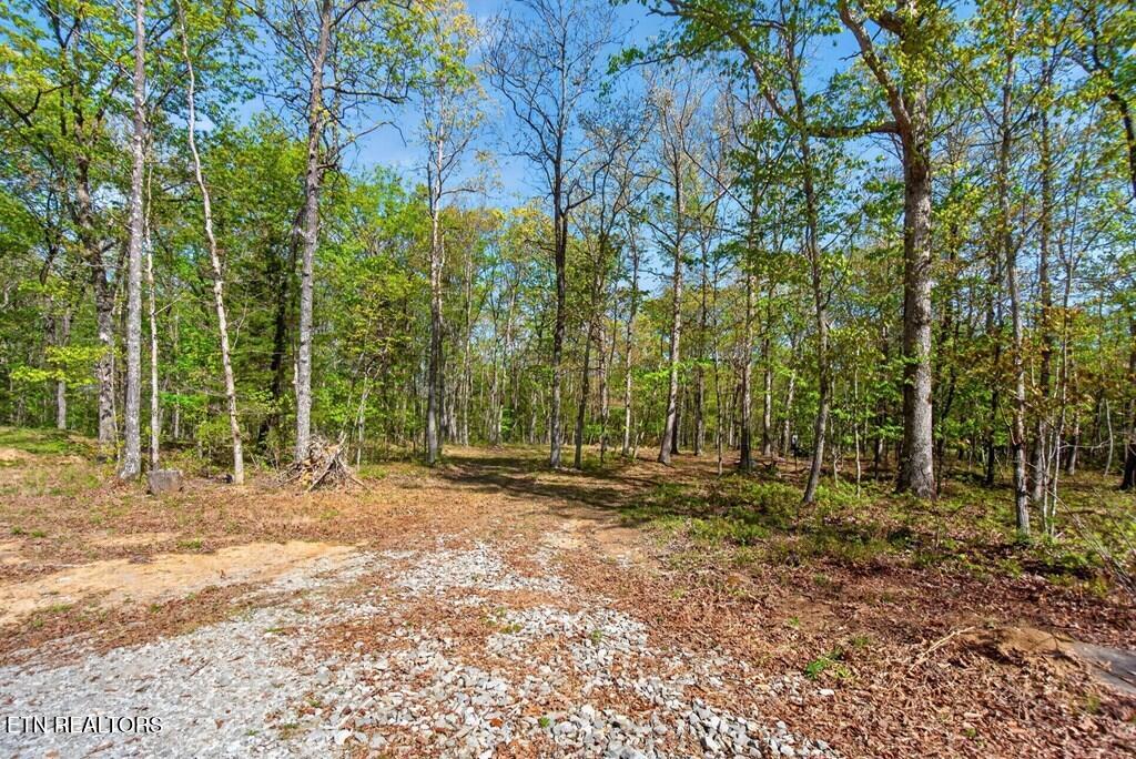 751 W Bluff Road Pikeville TN 37367