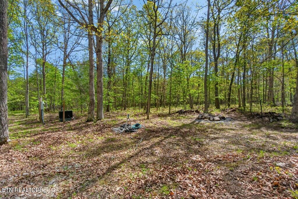 751 W Bluff Road Pikeville TN 37367